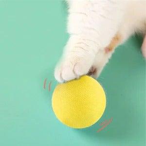 Catnip Cat Play Ball