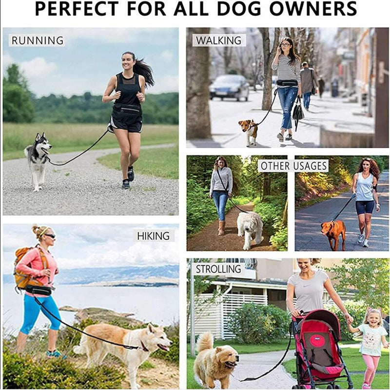 Hands-Free Bungee Dog Walking Belt