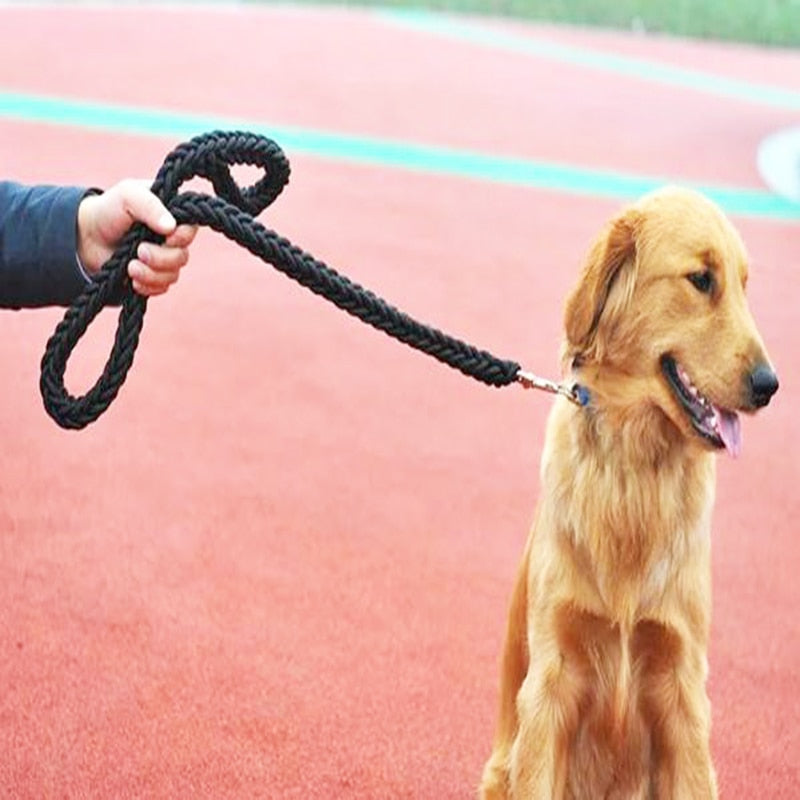 Nylon Dog Harness Leash For Medium Large Dogs Leads Pet Training Running Walking Safety Mountain Climb Big Dog NylonTenacityRope