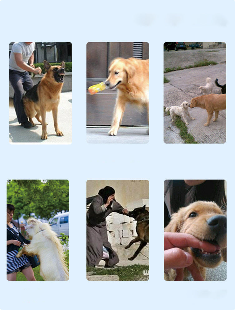 Rechargeable Remote Dog Training Collar