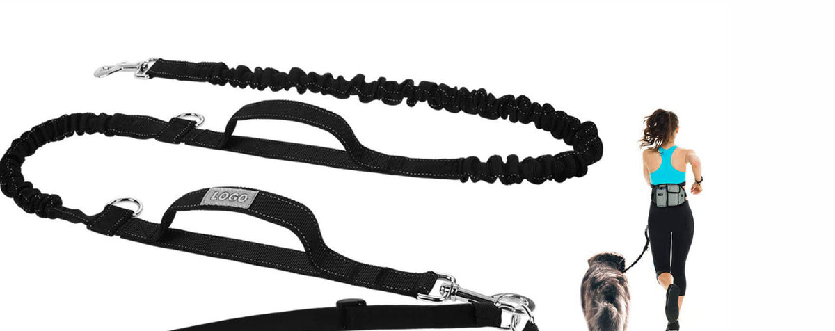 Hands-Free Dog Walking Waist Leash Bag