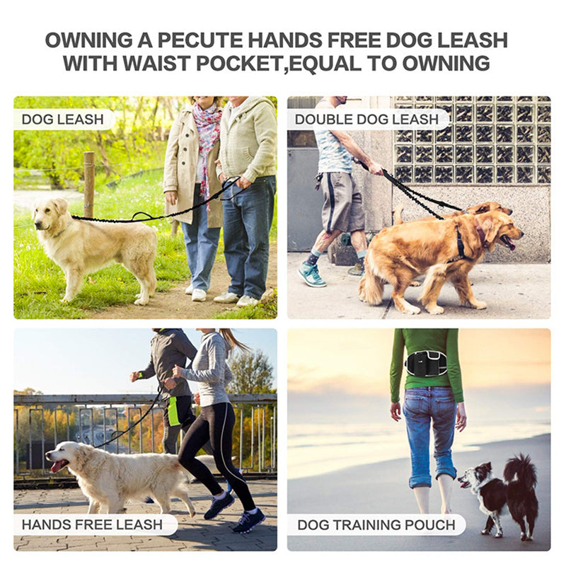 Hands-Free Dog Walking Waist Leash Bag