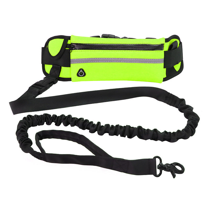 Hands-Free Bungee Dog Walking Belt
