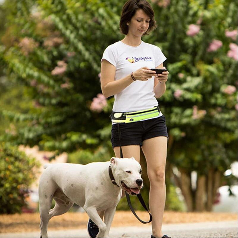 Hands-Free Bungee Dog Walking Belt