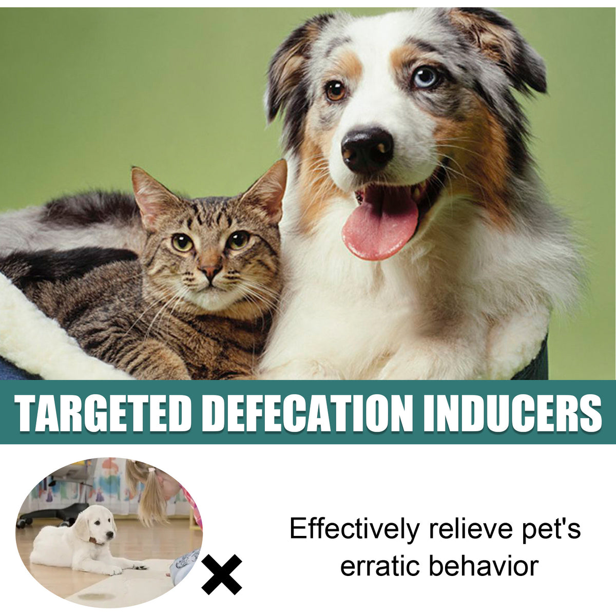 Pet Location-Based Defecation Inducers, Pet Toilet Inducer Urine Locator Toilet Training Agent