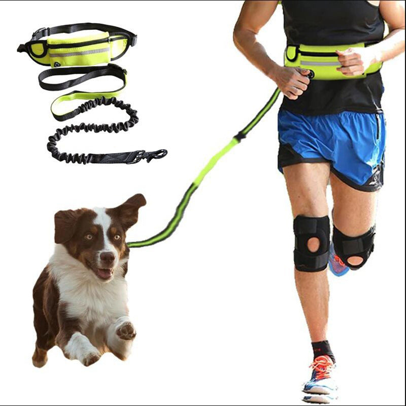 Hands-Free Bungee Dog Walking Belt
