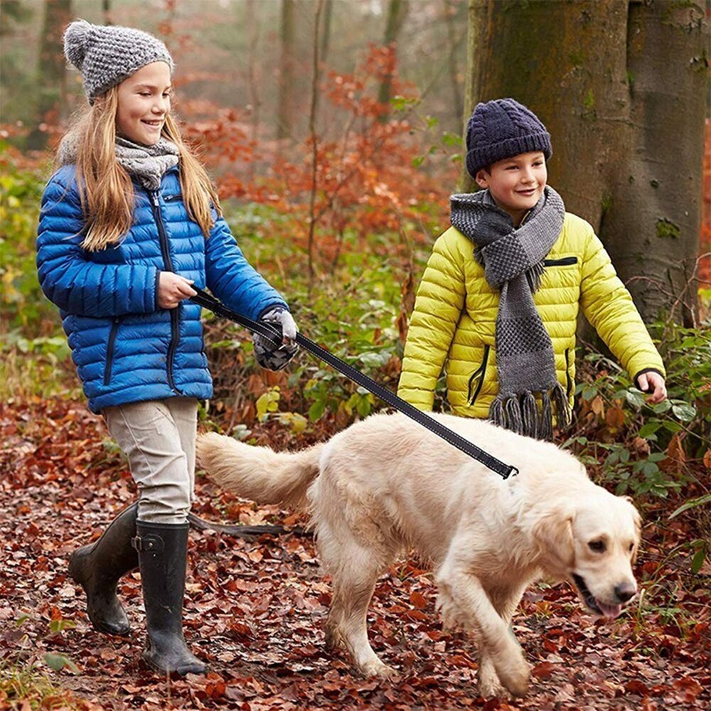 Dog Leash Rope Reflective Two Handle Small Medium Large Pet Lead Rope Nylon Durable Walking Running Training