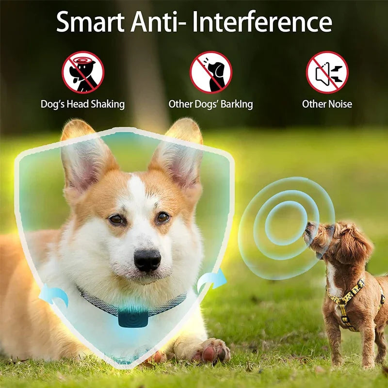 USB Ultrasonic Anti-Bark Device