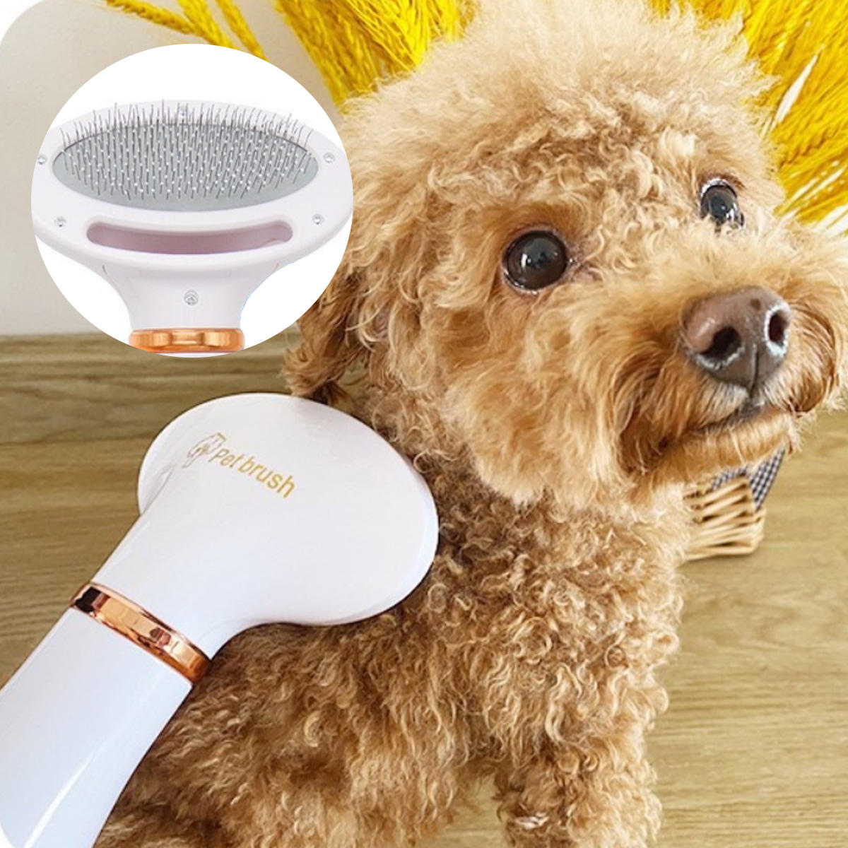 Two-In-One Pet Hot Air Comb Pet Hair Dryer Blowing Hair Cleaning Cat And Dog Pet Hair Comb Pet Brush Comb