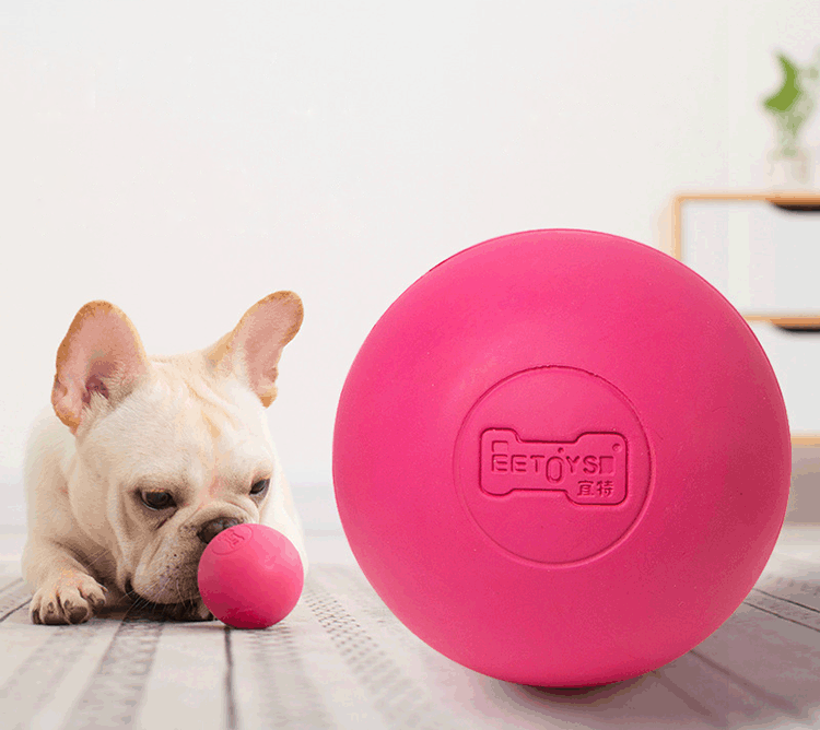 Rubber elastic solid ball dog toy grinding interactive training pet ball