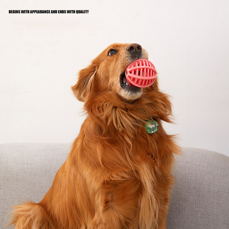 Dog Toy Pet Bite Resistant Molar To Relieve Boredom Toy TPR Leakage Ball Funny Training Teeth Cleaning Rubber Ball