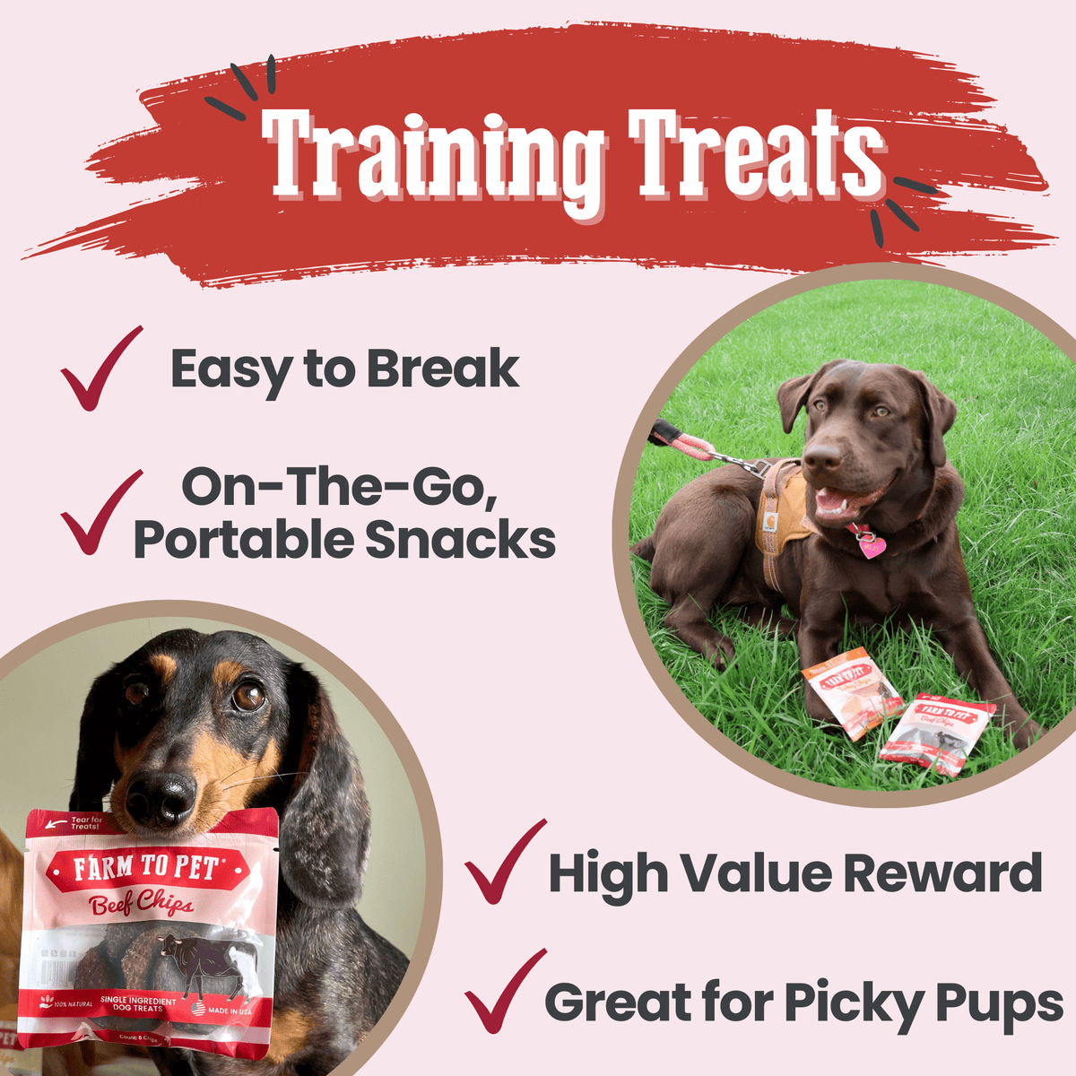 Beef Chips Snack Pack Bundles | Dog Treats for Training & Travel