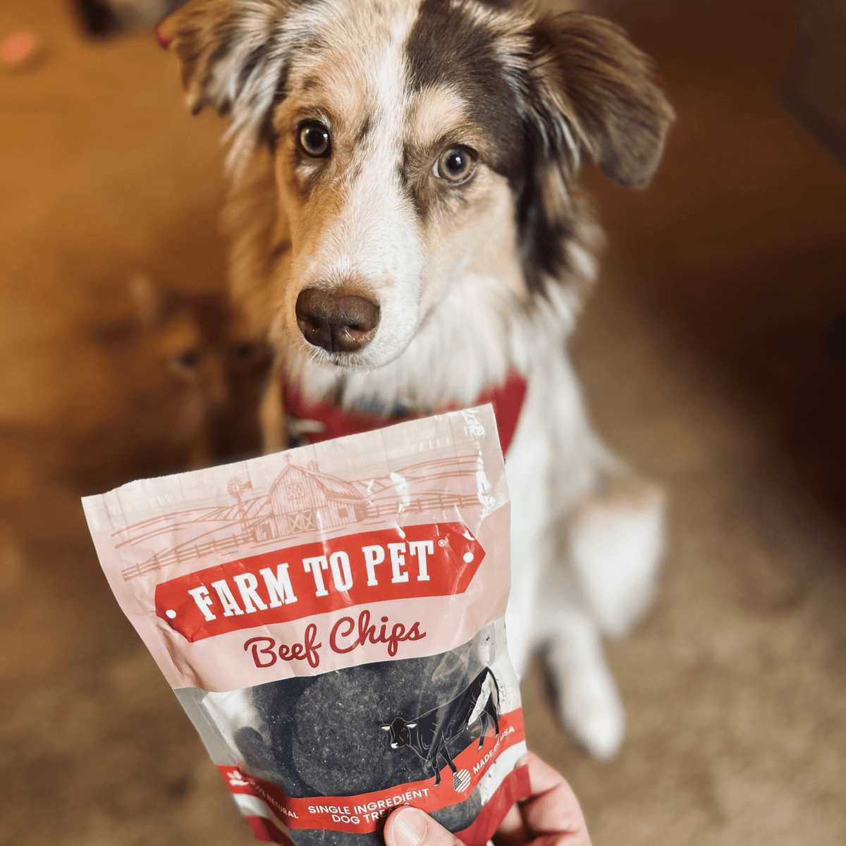Puppy Packs 'n Snacks Dog Treat Starter Pack | Single-Ingredient Training Treats