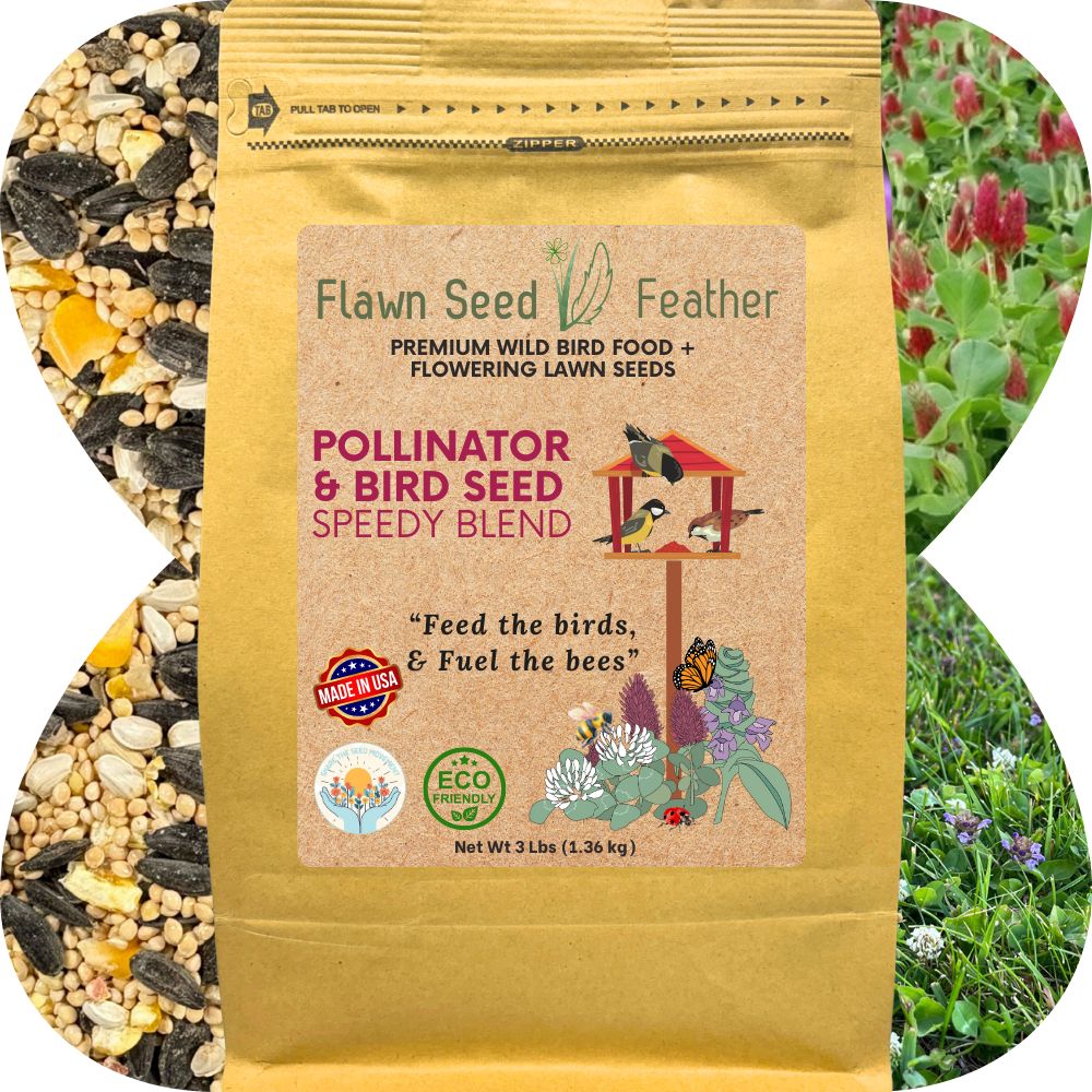 Pollinator & Wild Bird Seed Speedy Blend