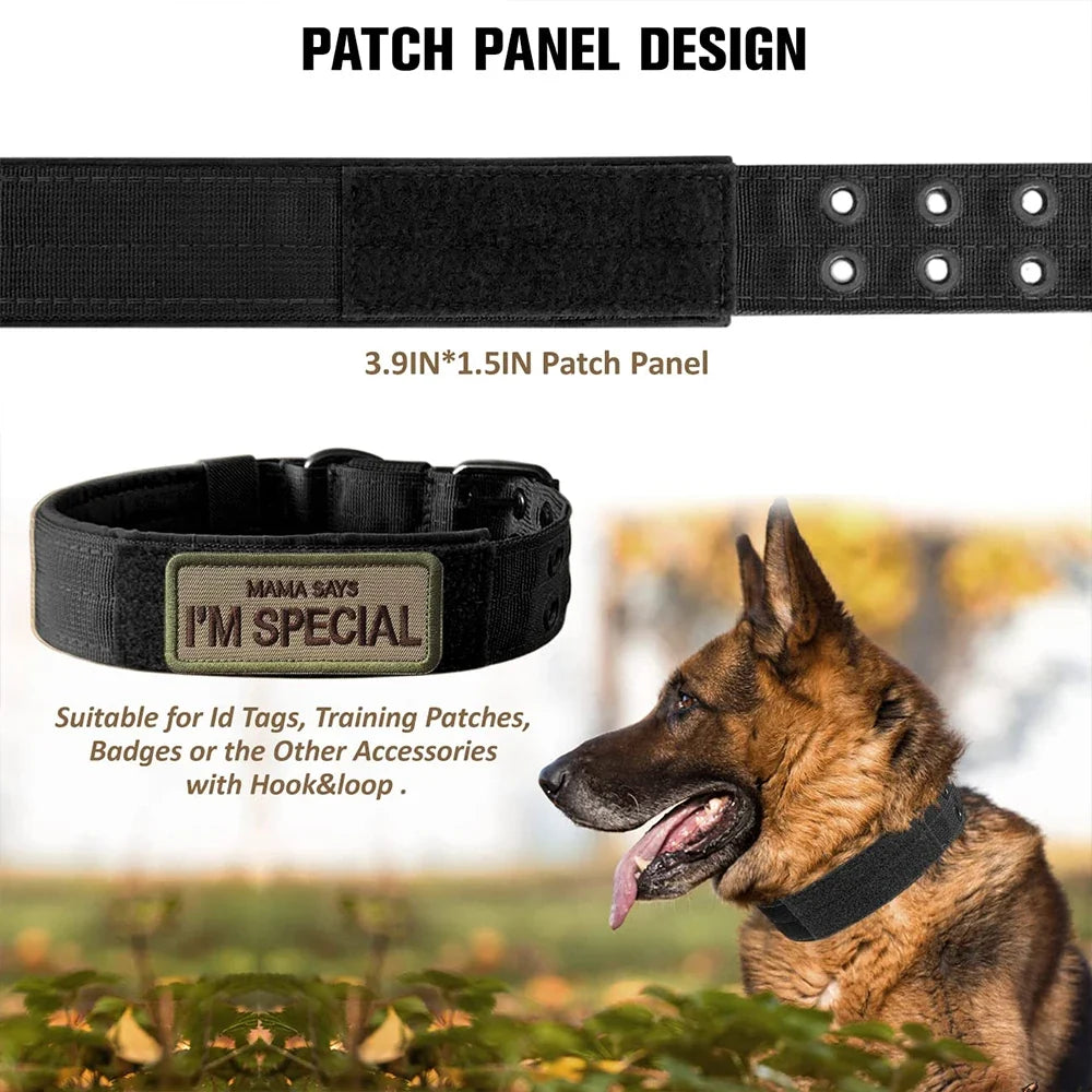 Tactical Nylon Dog Collar