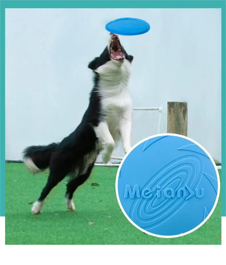 Bite-Resistant Flying Disc Dog Toy