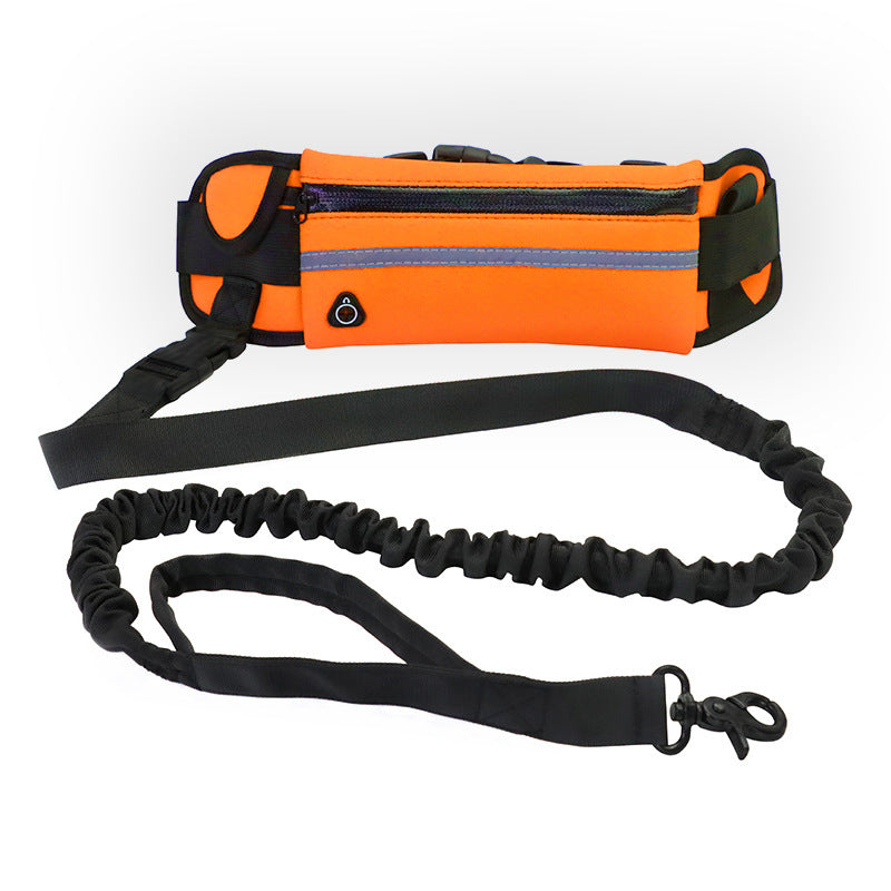 Hands-Free Bungee Dog Walking Belt