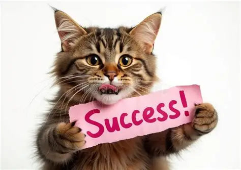 Online Course: Kitty Confidence – Indoor Cat Enrichment
