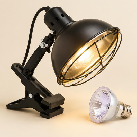 Reptile heat lamp