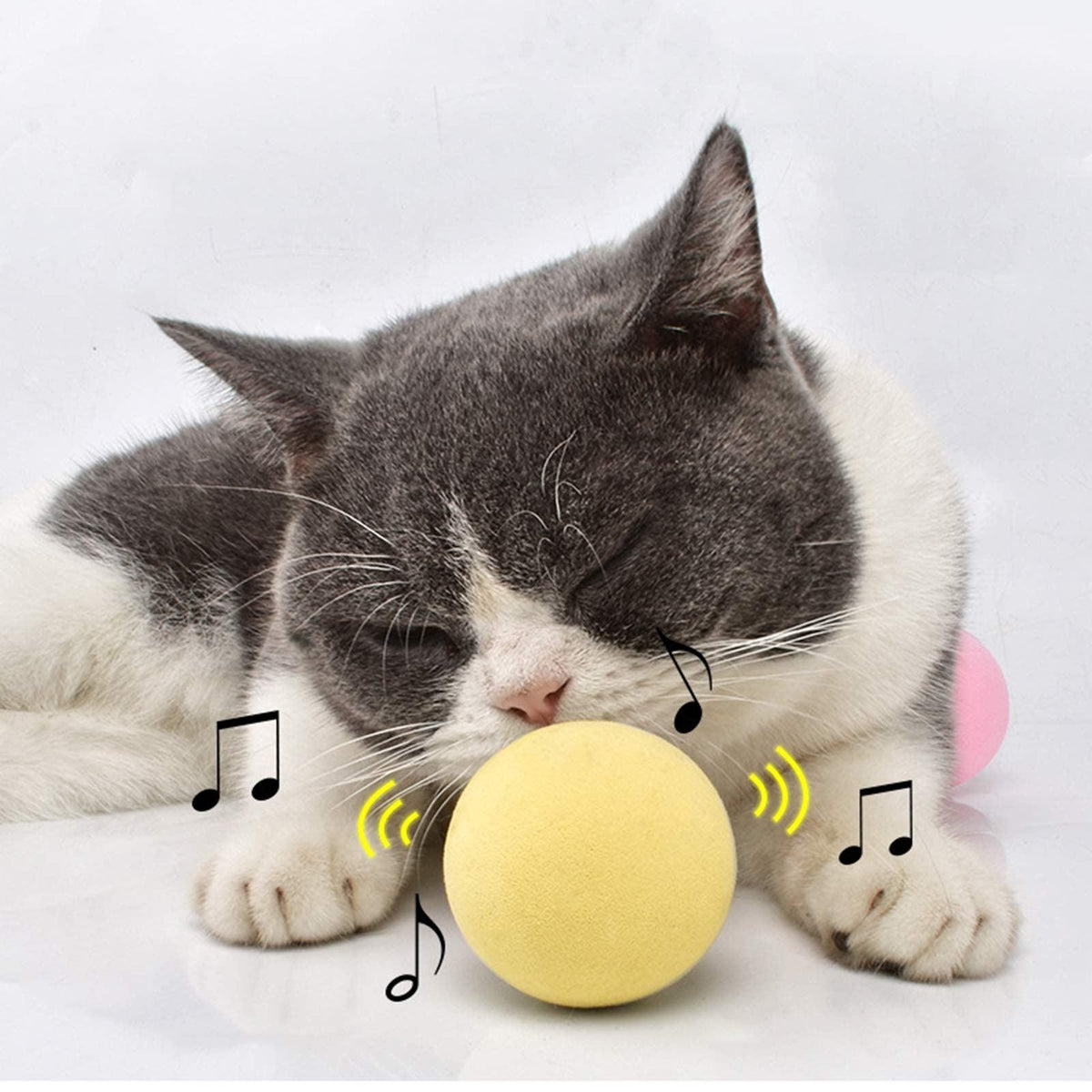 Catnip Cat Play Ball