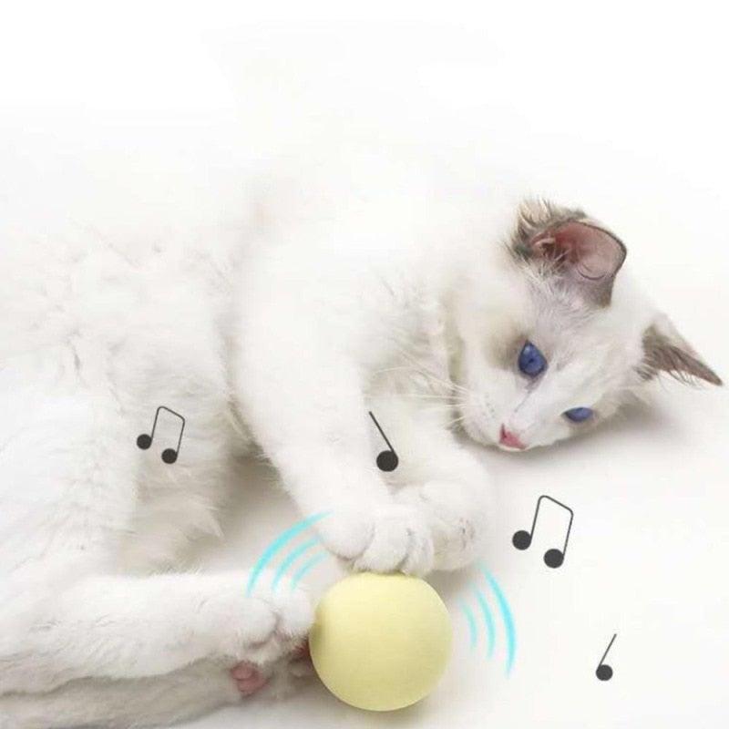 Catnip Cat Play Ball