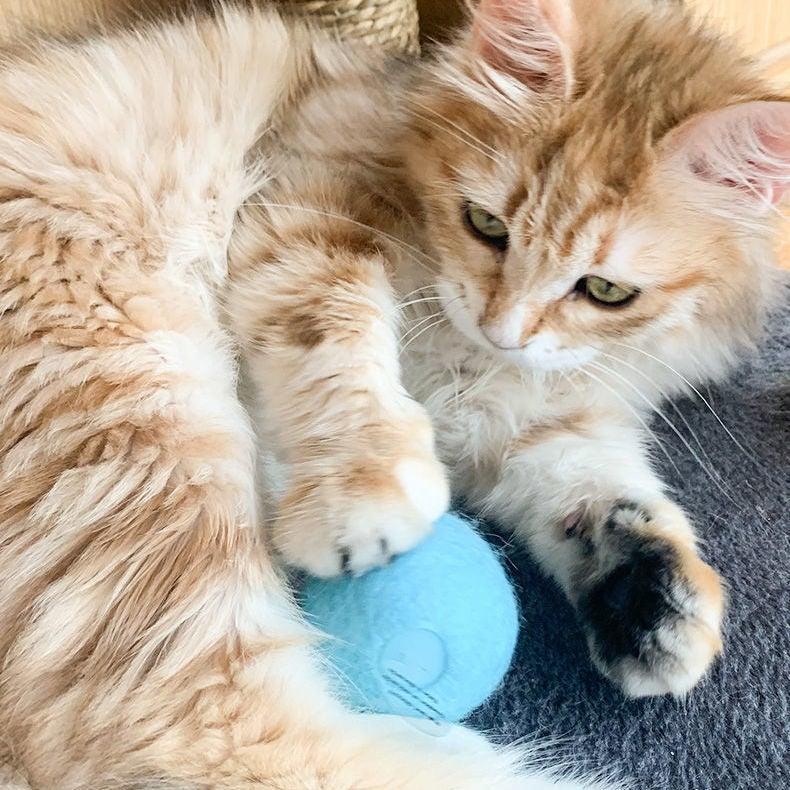 Catnip Cat Play Ball