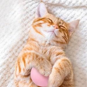 Catnip Cat Play Ball